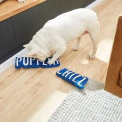 Frisco Zoomies & Chill Pupflix & Chill Plush Squeaky Dog Toy, 2 Count -PetSafe Kong Shop 241693 PT6. AC SS1800 V1610768429