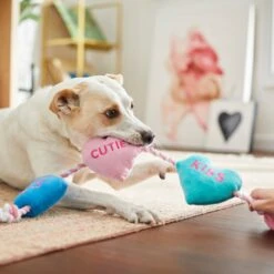 Frisco Valentine Candy Hearts Plush With Rope Squeaky Dog Toy 6 Frisco Valentine Candy Hearts Plush With Rope Squeaky Dog Toy -PetSafe Kong Shop 241725 PT6. AC SS1800 V1607989337