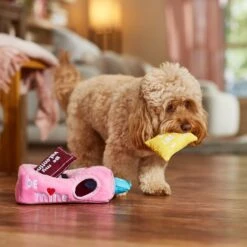 Frisco Valentine Box Of Cards Hide & Seek Puzzle Plush Squeaky Dog Toy -PetSafe Kong Shop 241741 PT3. AC SS1800 V1701365132