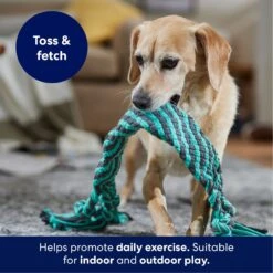 Frisco Flat Teal & Gray Braided Rope Squeaky Fetch Dog Toy -PetSafe Kong Shop 242127 PT3. AC SS1800 V1695242179