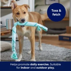 Frisco Double Fun Rope Crinkle Fetch Dog Toy -PetSafe Kong Shop 242137 PT3. AC SS1800 V1695242178