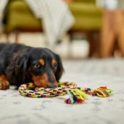 Frisco Pretzel Rope Dog Toy 5 Frisco Pretzel Rope Dog Toy -PetSafe Kong Shop 242141 PT2. AC SS1800 V1605208795