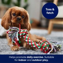 Frisco Double Knot Tri-Color Rope Fetch Dog Toy 6 Frisco Double Knot Tri-Color Rope Fetch Dog Toy -PetSafe Kong Shop 242149 PT3. AC SS1800 V1695241915