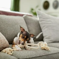 Frisco Double Knot Cotton Rope Fetch Dog Toy -PetSafe Kong Shop 242155 PT2. AC SS1800 V1605208728