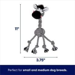 Best Seller -PetSafe Kong Shop 242163 PT1. AC SS1800 V1695084258