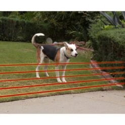 High Tech Pet Products Humane Contain HC-8000 Deluxe Electronic Dog Fence Containment System 9 High Tech Pet Products Humane Contain HC-8000 Deluxe Electronic Dog Fence Containment System -PetSafe Kong Shop 242712 PT3. AC SS1800 V1594841476