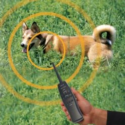 High Tech Pet Products ET-1 "Express Train" Electronic Radio Dog Training Collar -PetSafe Kong Shop 242732 PT3. AC SS1800 V1594841760