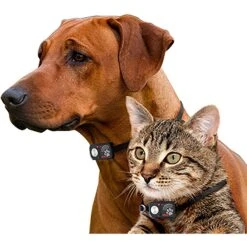 High Tech Pet Products SB-1 Sound Barrier Indoor Sonic Dog & Cat Fence System -PetSafe Kong Shop 242736 PT3. AC SS1800 V1594837906