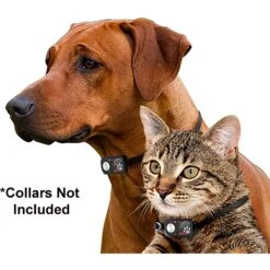 High Tech Pet Products SBR-1 Sound Barrier Extra Receiver -PetSafe Kong Shop 242738 PT3. AC SS1800 V1594836376