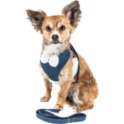 Pet Life Luxe Pom Draper 2-In-1 Mesh Reversible Dog Harness & Leash