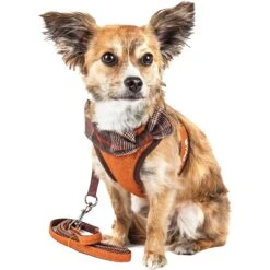 Pet Life Luxe Pawsh 2-In-1 Mesh Reversible Dog Harness-Leash