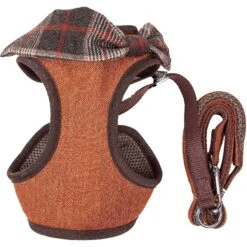 Pet Life Luxe Pawsh 2-In-1 Mesh Reversible Dog Harness-Leash -PetSafe Kong Shop 244841 PT4. AC SS1800 V1596725200