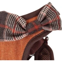 Pet Life Luxe Pawsh 2-In-1 Mesh Reversible Dog Harness-Leash -PetSafe Kong Shop 244841 PT7. AC SS1800 V1596745875