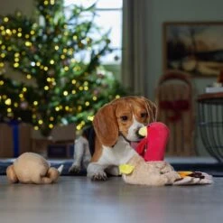 Frisco Holiday Turkey 2-in-1 Plush Squeaky Dog Toy -PetSafe Kong Shop 244925 PT3. AC SS1800 V1661874063