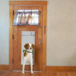 High Tech Pet Products PX-1 Power Pet Fully Automatic Pet Door -PetSafe Kong Shop 245089 PT6. AC SS1800 V1625669490