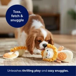Frisco Lion Plush Squeaky Puppy Toy -PetSafe Kong Shop 245918 PT4. AC SS1800 V1695760934