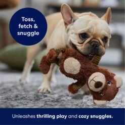 Frisco Bear Plush Squeaky Dog Toy 10 Frisco Bear Plush Squeaky Dog Toy -PetSafe Kong Shop 245924 PT4. AC SS1800 V1695760929