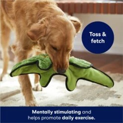 Frisco Alligator Stuffing-Free Flat Plush Squeaky Dog Toy 6 Frisco Alligator Stuffing-Free Flat Plush Squeaky Dog Toy -PetSafe Kong Shop 245943 PT2. AC SS1800 V1678723898