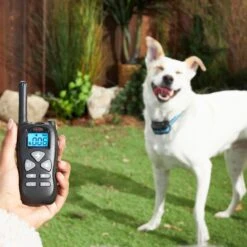 Trainer Dog Collar Waterproof & Rechargeable With 320 Yards Range -PetSafe Kong Shop 245959 PT4. AC SS1800 V1649471196