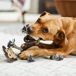 Bones & Chews Rope Monkey With Bone Dog Toy, 14" -PetSafe Kong Shop 247071 PT2. AC SS1800 V1603166808