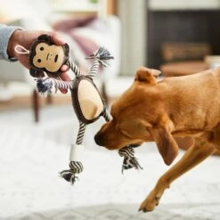 Bones & Chews Rope Monkey With Bone Dog Toy, 14" -PetSafe Kong Shop 247071 PT3. AC SS1800 V1603155700