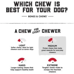 Bones & Chews Rope Monkey With Bone Dog Toy, 14" -PetSafe Kong Shop 247071 PT8. AC SS1800 V1635946880