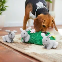 Frisco Spring Bunny Burrow Hide & Seek Plush Squeaky Dog Toy -PetSafe Kong Shop 248039 PT5. AC SS1800 V1608767863