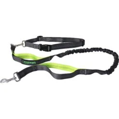 Jespet Bungee Reflective Standard Dog Leash