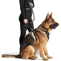 Jespet Bungee Reflective Standard Dog Leash -PetSafe Kong Shop 248115 PT2. AC SS1800 V1597879967