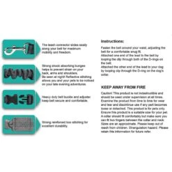 Jespet Bungee Reflective Standard Dog Leash -PetSafe Kong Shop 248115 PT3. AC SS1800 V1597888014