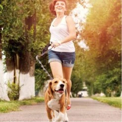 Jespet Bungee Reflective Standard Dog Leash -PetSafe Kong Shop 248115 PT5. AC SS1800 V1597874844