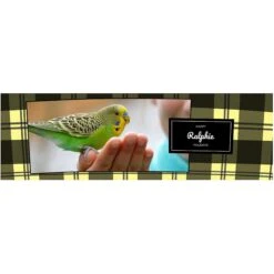 Frisco Double Walled Red Plaid Personalized Tumbler, 30-oz Cup 9 Frisco Double Walled Red Plaid Personalized Tumbler, 30-oz Cup -PetSafe Kong Shop 249346 PT2. AC SS1800 V1602029161