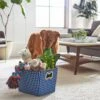 Frisco Rectangle Collapsible Pet Toy Storage Bin, Navy Herringbone