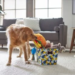 Frisco Rectangle Collapsible Pet Toy Storage Bin, Yellow Geometric -PetSafe Kong Shop 250578 PT3. AC SS1800 V1615572198
