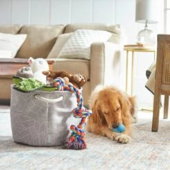 Frisco Round Collapsible Pet Toy Storage Bin, Gray Basket Weave -PetSafe Kong Shop 250585 PT3. AC SS1800 V1615572111