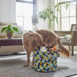 Frisco Round Collapsible Pet Toy Storage Bin, Yellow Geometric -PetSafe Kong Shop 250587 PT3. AC SS1800 V1615572147