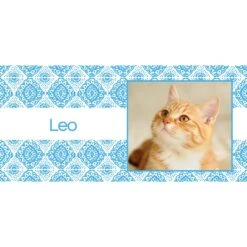 Frisco Double Walled Boho Damask Personalized Tumbler, 30-oz Cup -PetSafe Kong Shop 250749 PT2. AC SS1800 V1606680445