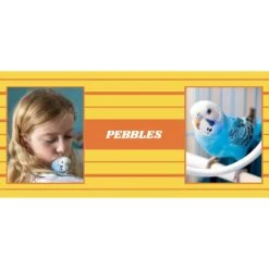 Frisco Double Walled Preppy Stripes Personalized Tumbler, 30-oz Cup 7 Frisco Double Walled Preppy Stripes Personalized Tumbler, 30-oz Cup -PetSafe Kong Shop 250751 PT2. AC SS1800 V1606678620