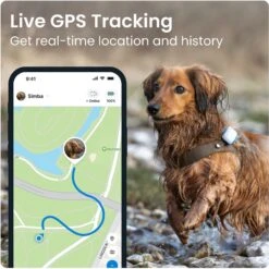 Tractive Dog GPS Tracker With Activity Monitoring -PetSafe Kong Shop 250843 PT2. AC SS1800 V1697052902