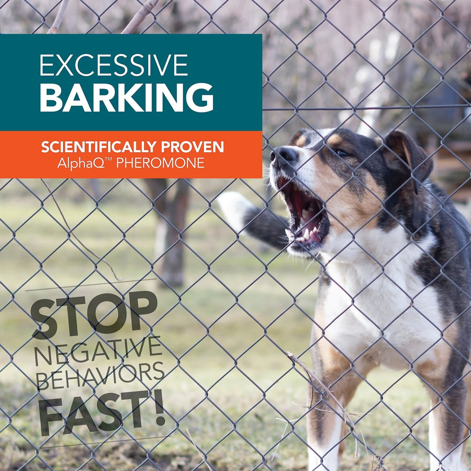 TevraPet NO! NO! Dog Spray, 1.35-oz Bottle 2 TevraPet NO! NO! Dog Spray, 1.35-oz Bottle - Image 2