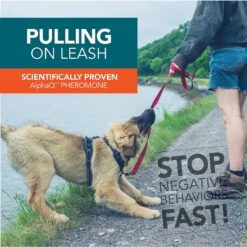 TevraPet NO! NO! Dog Spray, 1.35-oz Bottle 7 TevraPet NO! NO! Dog Spray, 1.35-oz Bottle -PetSafe Kong Shop 250925 PT3. AC SS1800 V1599003682