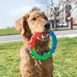 KONG Twistz Ring Dog Toy -PetSafe Kong Shop 250968 PT2. AC SS1800 V1631769824