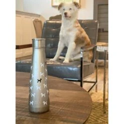S'ip By S'well French Standard Stainless Steel Water Bottle, 15-oz -PetSafe Kong Shop 251277 PT4. AC SS1800 V1603322545