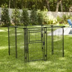 Two By Two Dog Kennel, Black Diamond, 48-in -PetSafe Kong Shop 251782 PT2. AC SS1800 V1600294854