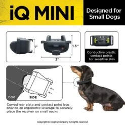 Dogtra IQ MINI Remote Training Dog Collar -PetSafe Kong Shop 252514 PT6. AC SS1800 V1602537081