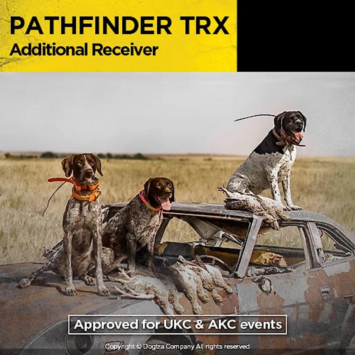 Dogtra PATHFINDER TRX GPS Tracking Collar Additional Receiver 7 Dogtra PATHFINDER TRX GPS Tracking Collar Additional Receiver - Image 7