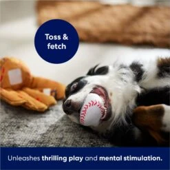 Frisco Baseball Mitt & Ball Interactive Plush Squeaky Dog Toy 10 Frisco Baseball Mitt & Ball Interactive Plush Squeaky Dog Toy -PetSafe Kong Shop 252756 PT5. AC SS1800 V1686579205