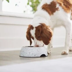 Frisco Quartz Design Stainless Steel Dog & Cat Bowl -PetSafe Kong Shop 253044 PT2. AC SS1800 V1616526418