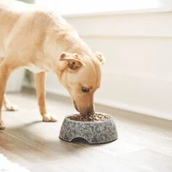 Frisco Black Marble Design Stainless Steel Dog & Cat Bowl 11 Frisco Black Marble Design Stainless Steel Dog & Cat Bowl -PetSafe Kong Shop 253048 PT2. AC SS1800 V1616526446
