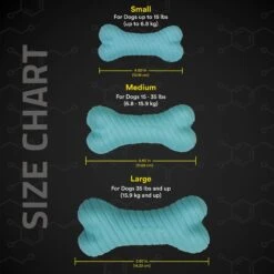 Playology Scented Dual Layer Bone Dog Toy 11 Playology Scented Dual Layer Bone Dog Toy -PetSafe Kong Shop 254284 PT4. AC SS1800 V1602196311